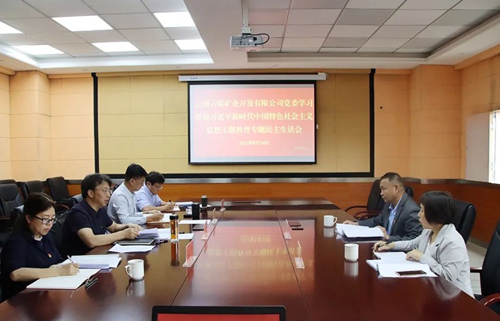 【主题教育】云煤（天博）集团第二指导组到云煤矿业公司指导主题教育专题民主生涯会