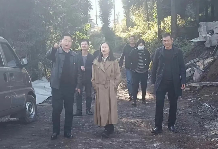 天博