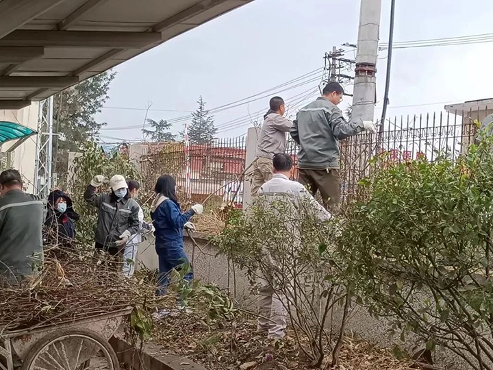 天博